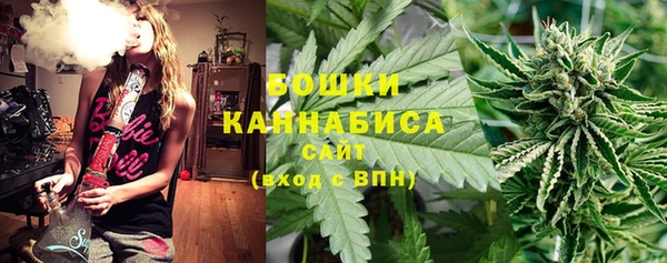 трава Арсеньев