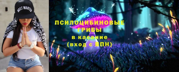 ПСИЛОЦИБИНОВЫЕ ГРИБЫ Балахна