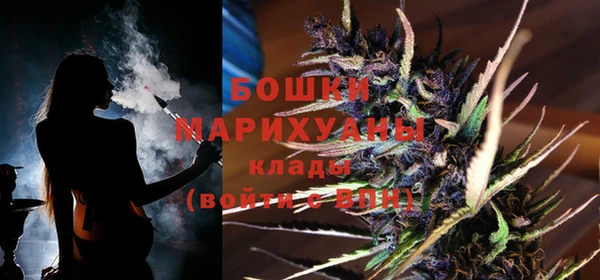 трава Арсеньев