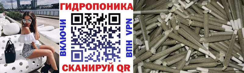 МАРИХУАНА сатива Волгореченск